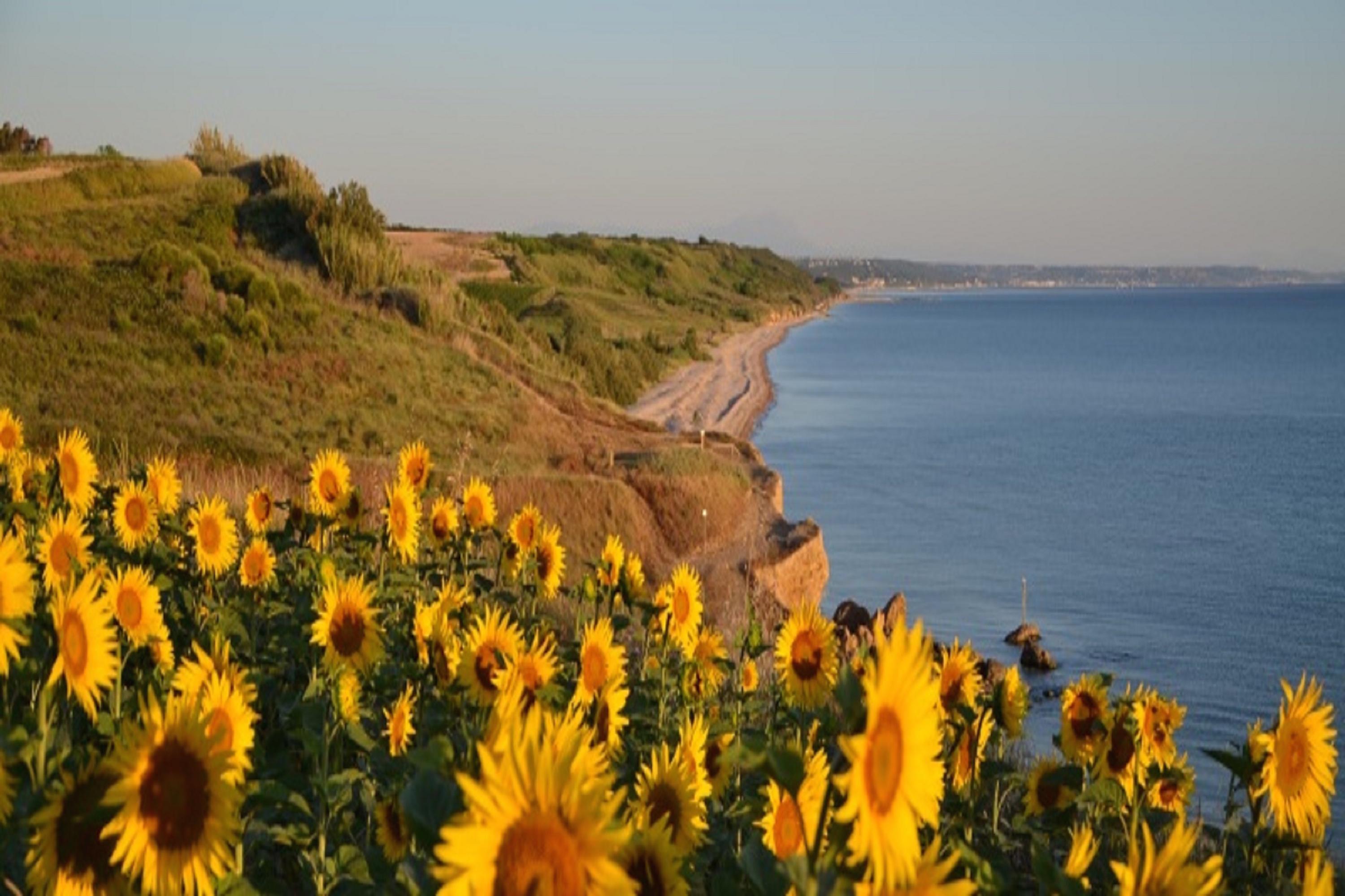 Dei Sette 3* Vasto